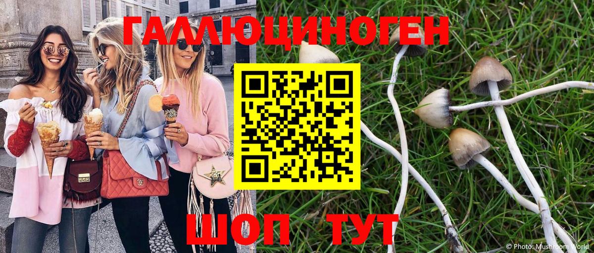 Псилоцибиновые грибы Magic Shrooms  Вход с VPN  Балтийск 